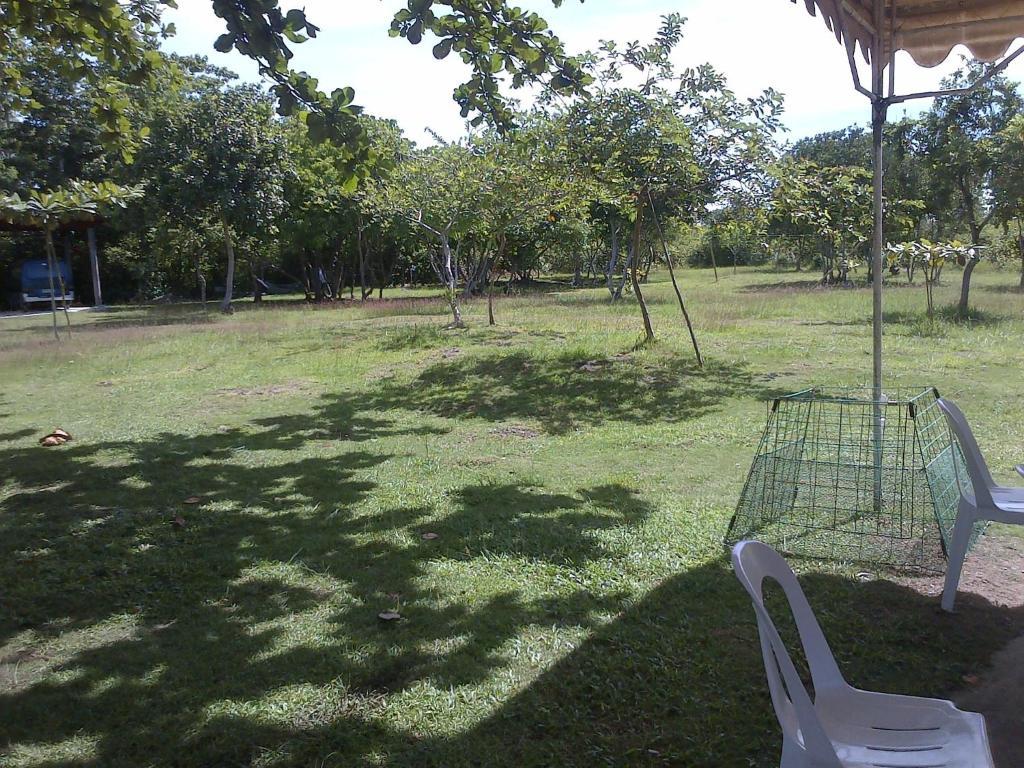 Ladaga Inn & Restaurant Panglao Eksteriør billede
